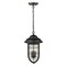 Homeroots 18.5 x 10 x 10 in. Dylan 3-Light Oil-Rubbed Bronze Hanging Lantern 397961 - alternate 4